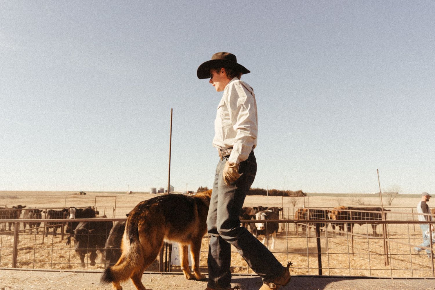 A cowboy in a black hat and jeans walks with a dog at a cattle ranch on a clear day.