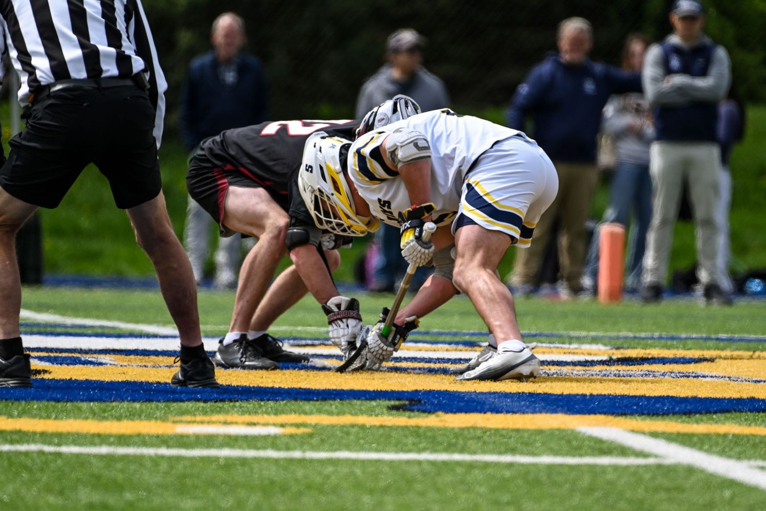 Two lacrosse players face off at midfield during a sunny collegiate game with a referee watching closely.