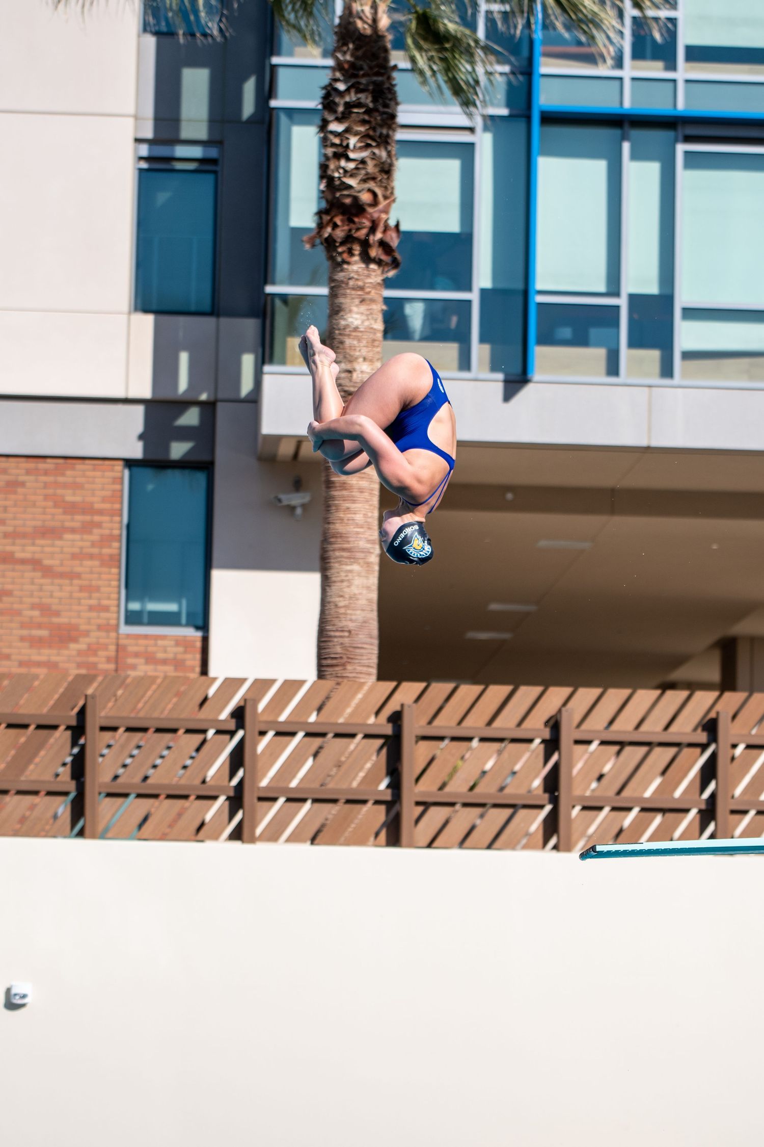 Female diver in blue swimsuit performs a tuck position dive outdoors with a palm tree and building in the background.