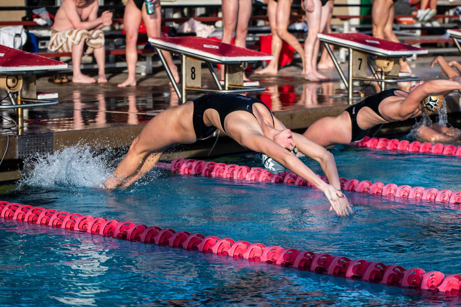 Two competitive swimmers dive into a pool during a swim meet, with pink lane dividers and spectators in the background.