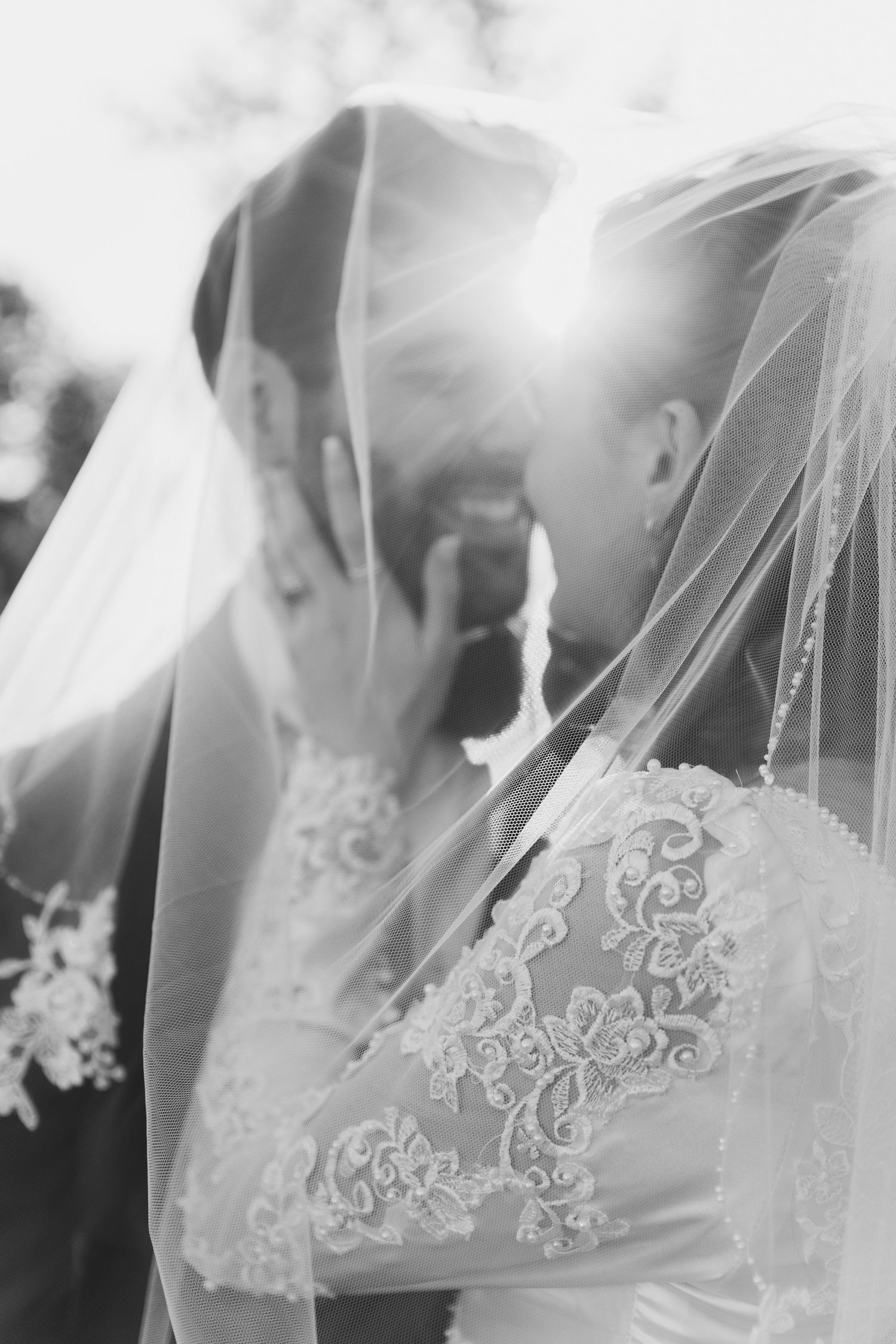 Romantic black and white wedding photo showing couple kissing under a delicate lace veil with sunlight streaming through.