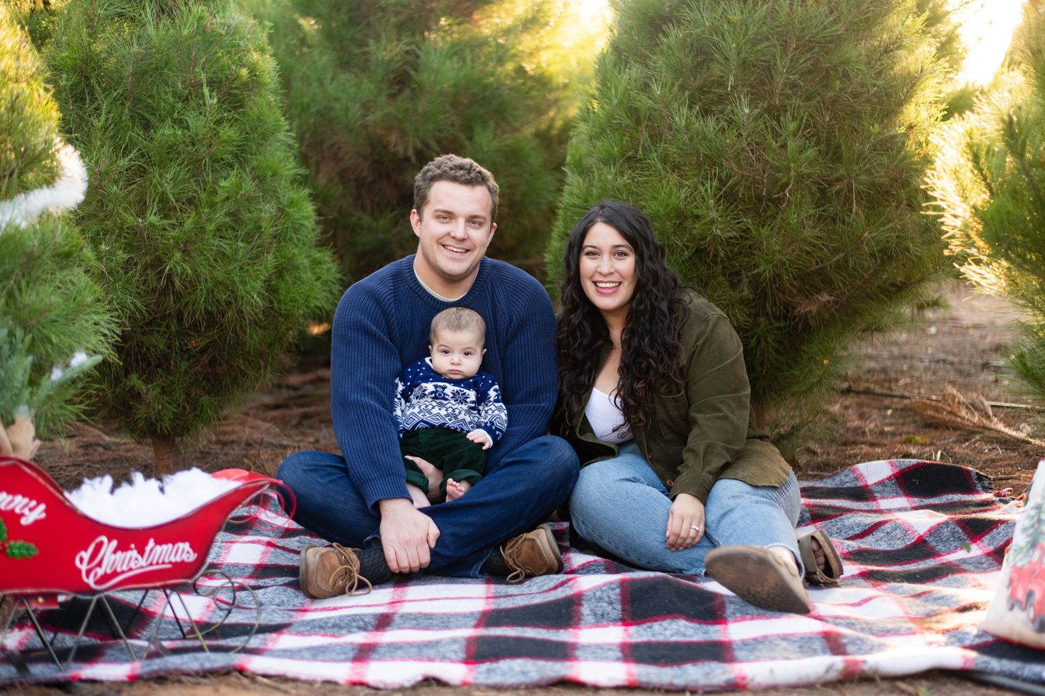 Family sitting on plaid blanket among evergreen trees during outdoor photo session.