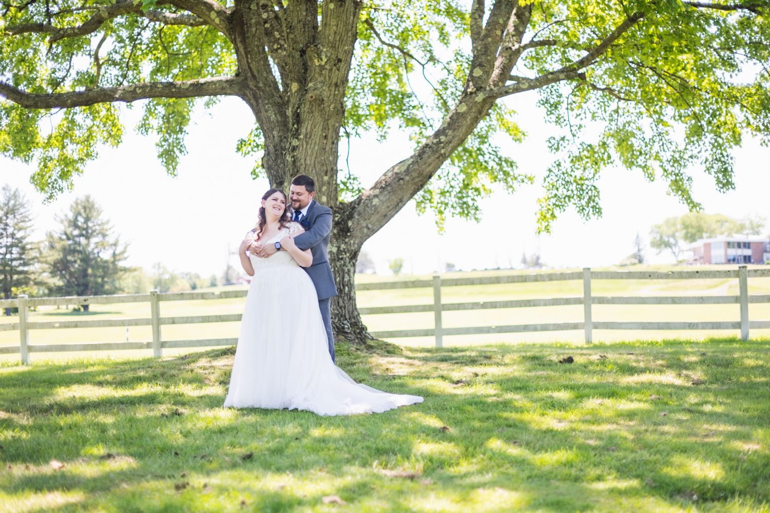 Wedding venue outdoor setting with large tree and white fence in countryside landscape.