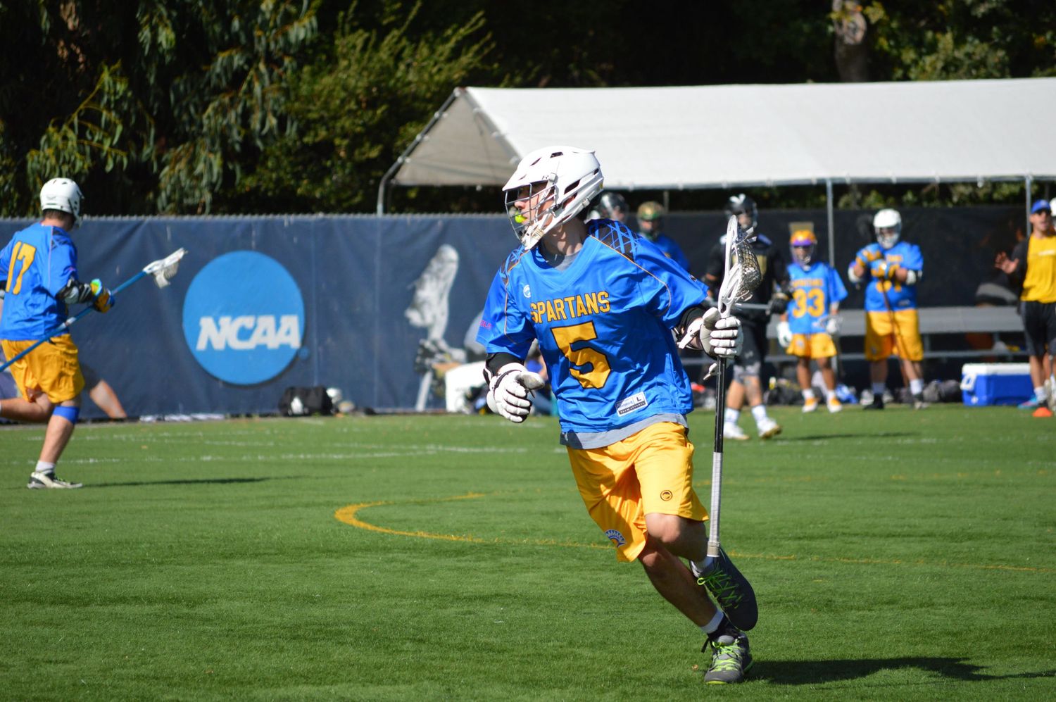 A lacrosse player in blue and gold NCAA uniform runs with stick during an outdoor collegiate practice game.