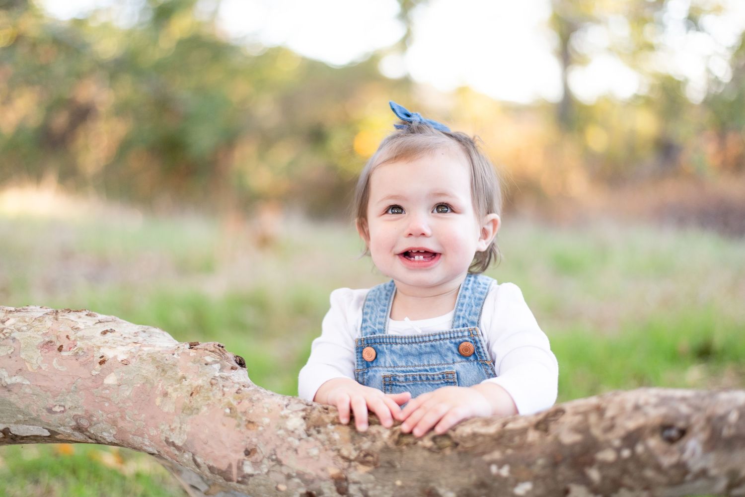 A series of outdoor autumn portraits in a rustic natural setting.