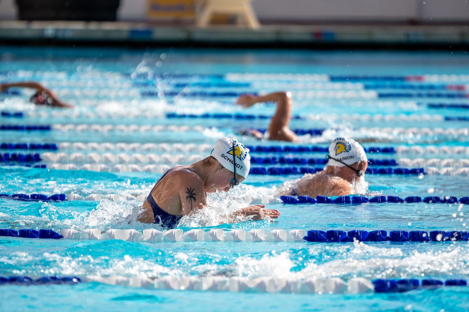 Two swimmers competing in butterfly stroke race in outdoor pool with lane dividers during competition.