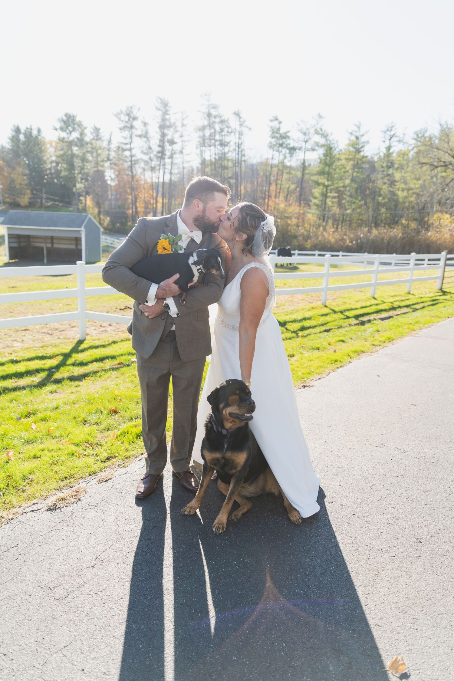 Wedding couple poses with their black dog on a path near white fencing.