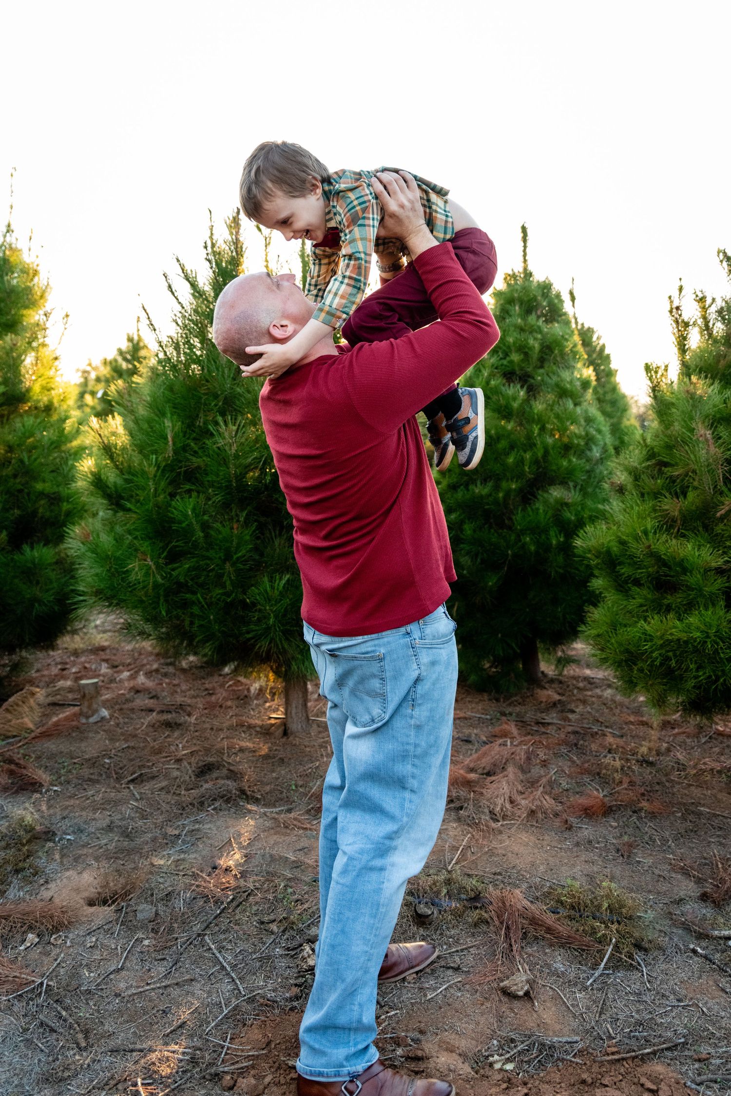 Candid moments shared between parent and child among evergreen trees.