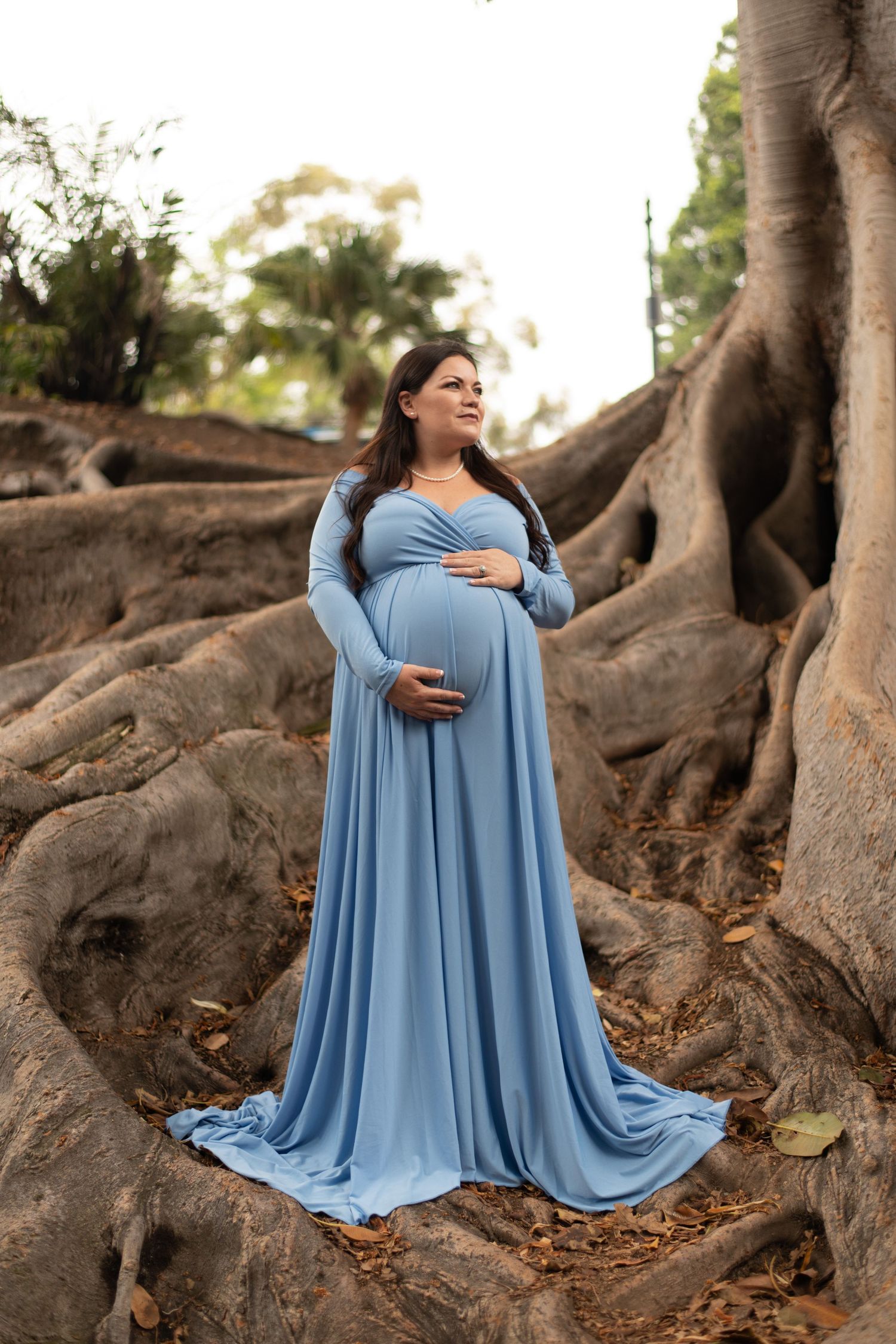 Maternity photo taken among large tree roots with flowing light blue dress.