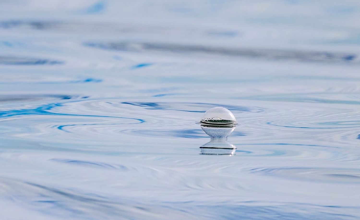 A single air bubble breaking the calm blue surface of the water in the Chassahowitzka National Wildlife Refuge, Florida.