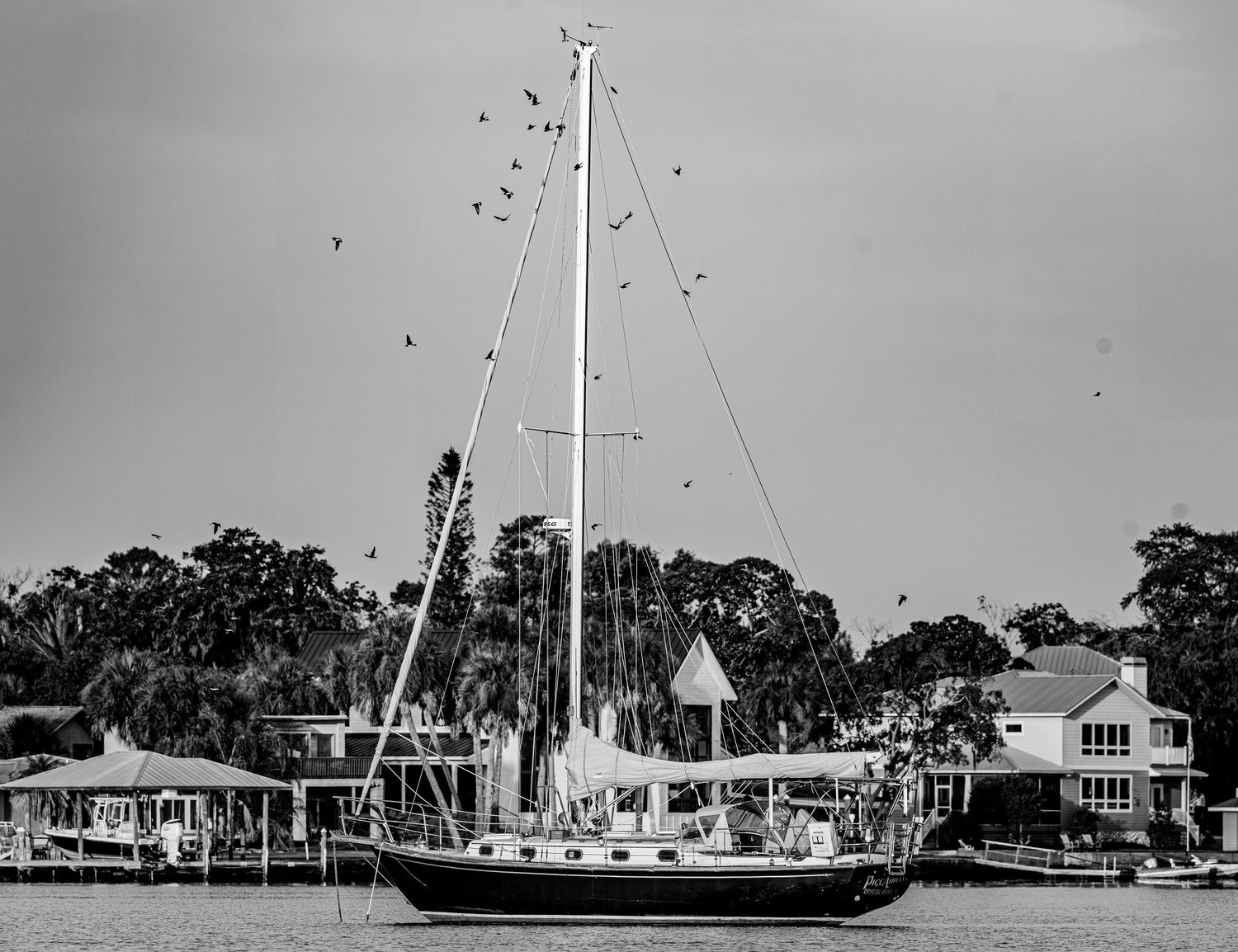 A sailboat rests at a riverside dock while birds circle its tall mast.