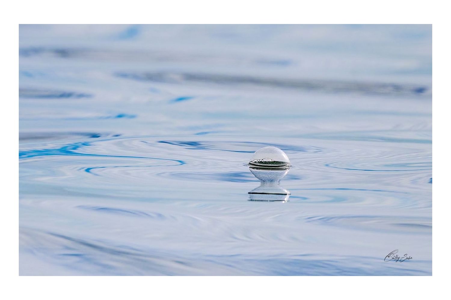 SS-003 — Bubble
