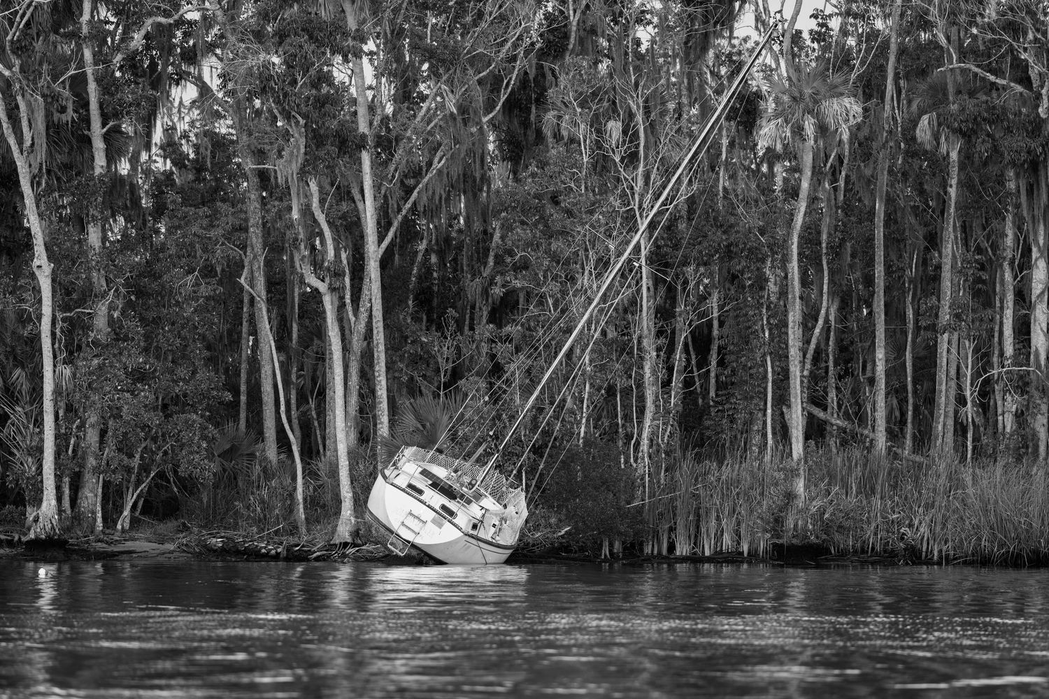 Black-and-white photograph of a grounded sailboat along a wooded Kings Bay shoreline.