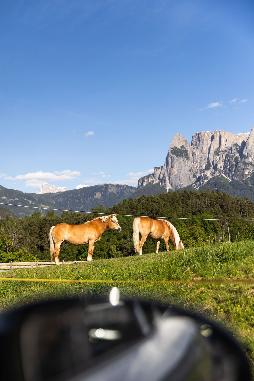 Südberg photography