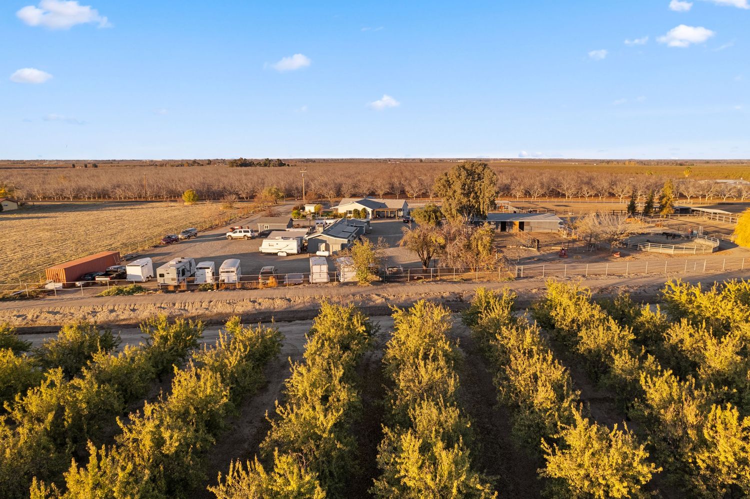 Aerial view of rural farm property surrounded by rows of young fruit trees at golden hour.