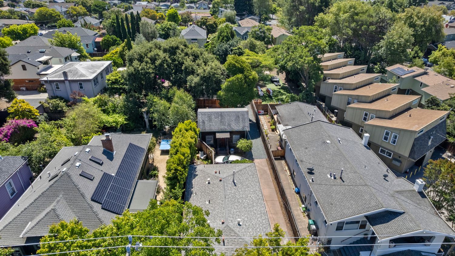 Aerial view of tree-lined residential neighborhood with solar panel rooftops.