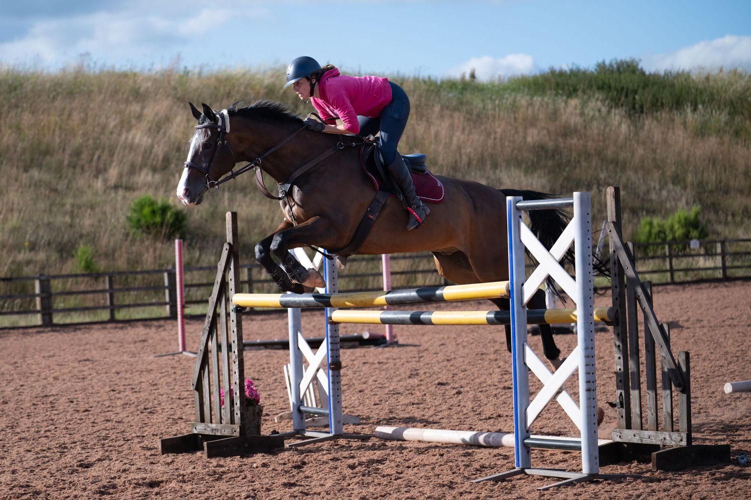 Horse and rider in pink jacket clearing colorful show jump in sunny outdoor arena.