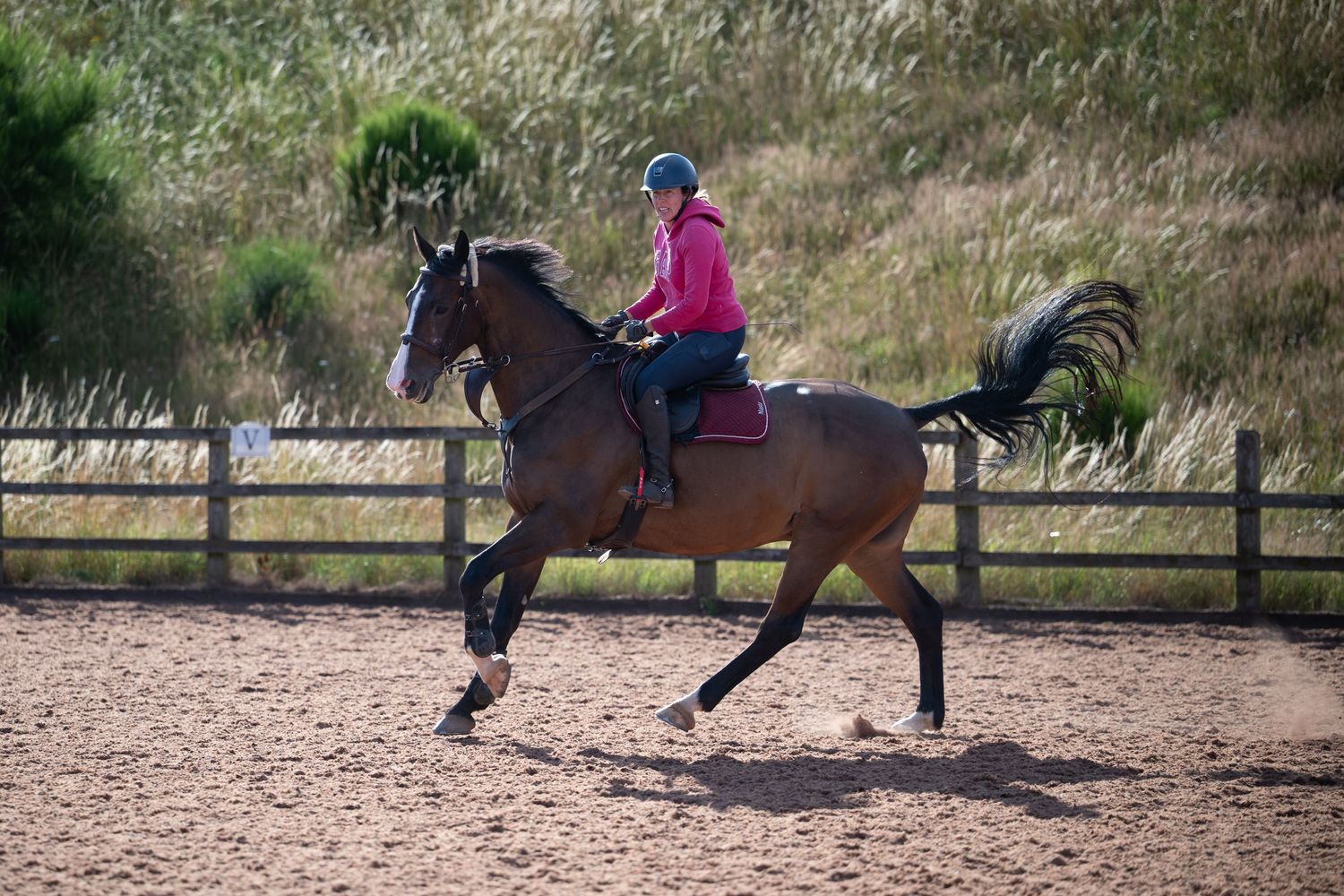 Female rider in pink jacket cantering bay horse in fenced outdoor sand arena.