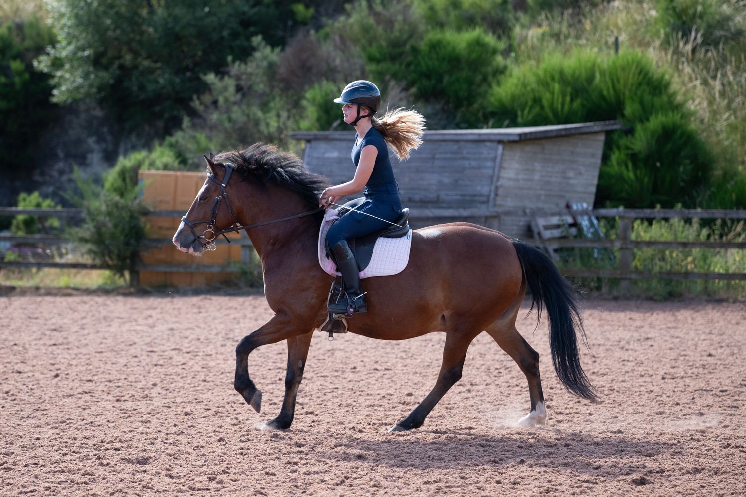 Female rider in helmet cantering bay horse in outdoor sand arena with green trees behind.