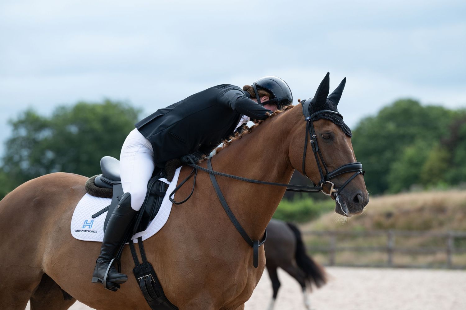 Equestrian rider in black jacket leaning forward on bay horse in outdoor competition arena.