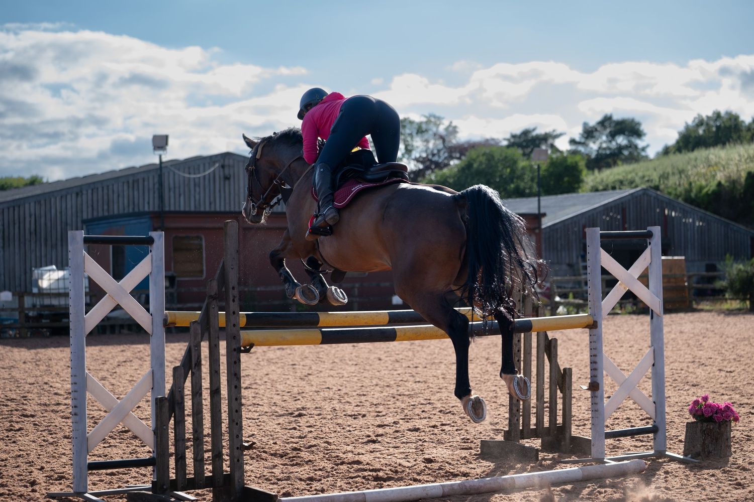 An equestrian in pink and black jumps a bay horse over a yellow rail in an outdoor arena.