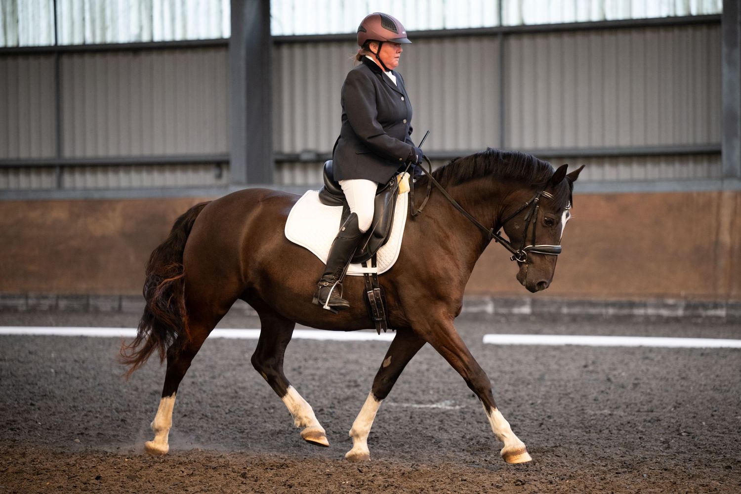 Rider in black jacket and helmet performing dressage on a dark bay horse in an indoor arena.