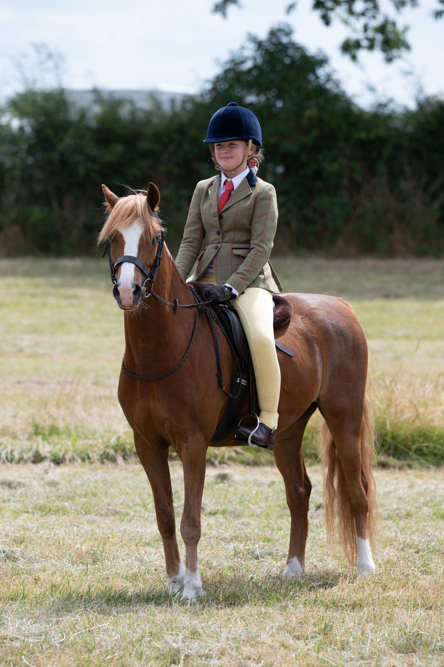 Young equestrian rider in formal show attire sits atop a chestnut horse in a grassy field.