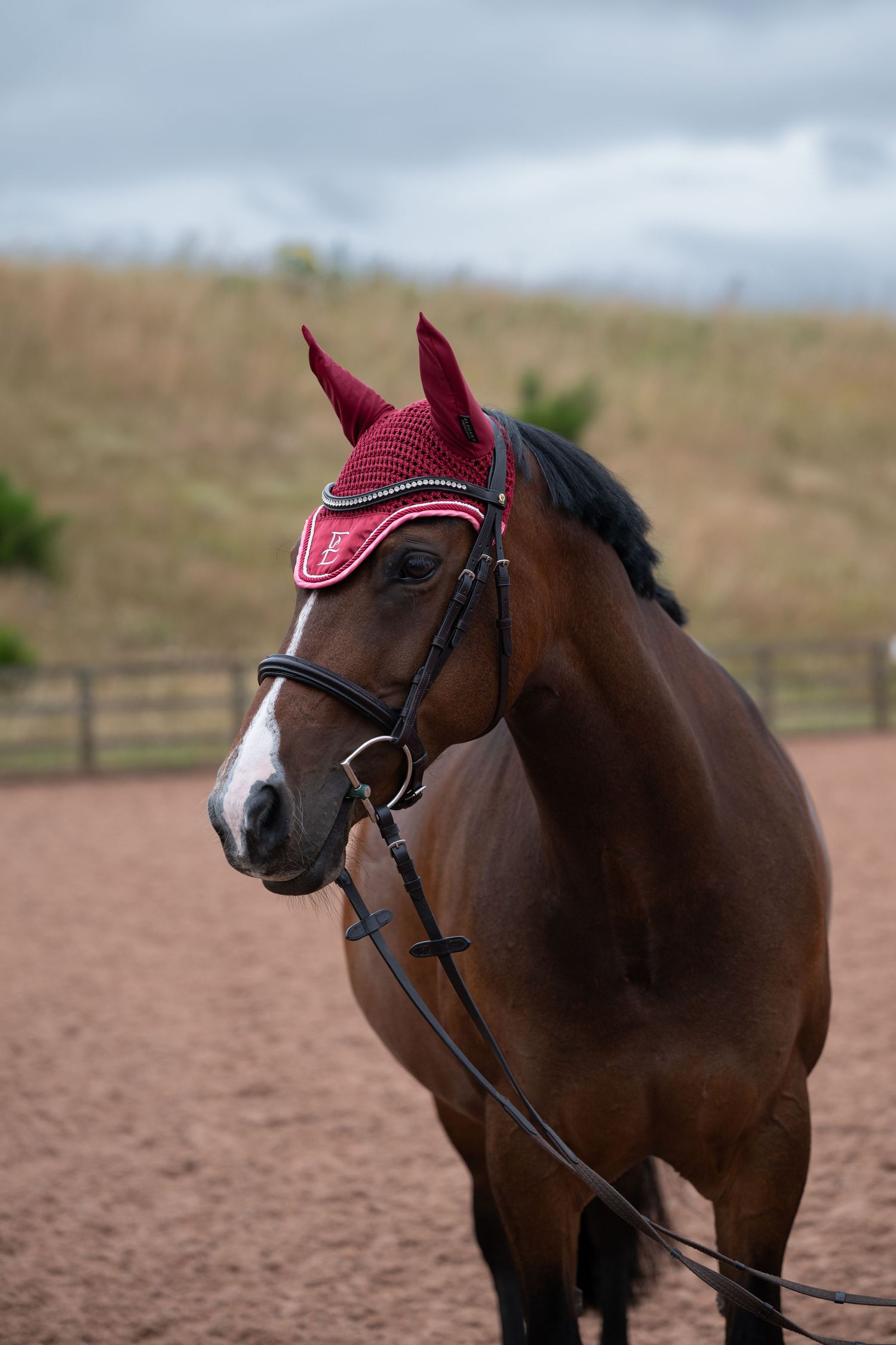 A bay horse wearing a burgundy fly bonnet stands in a sandy arena under cloudy skies.
