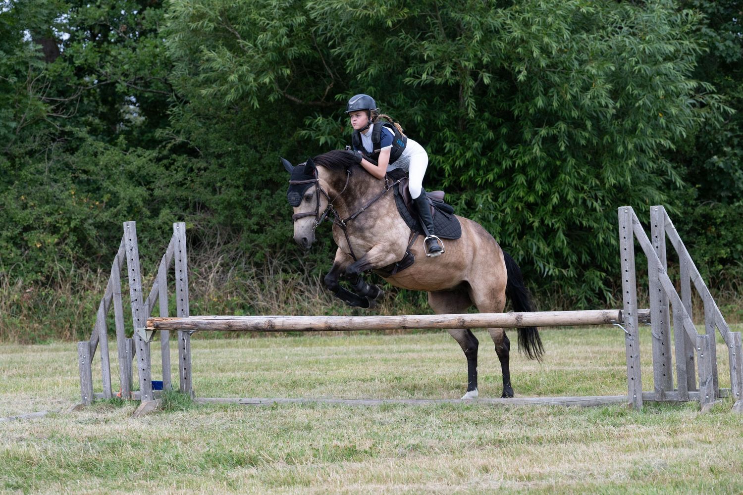 Equestrian rider on buckskin horse jumping over wooden fence obstacle in outdoor show jumping competition.