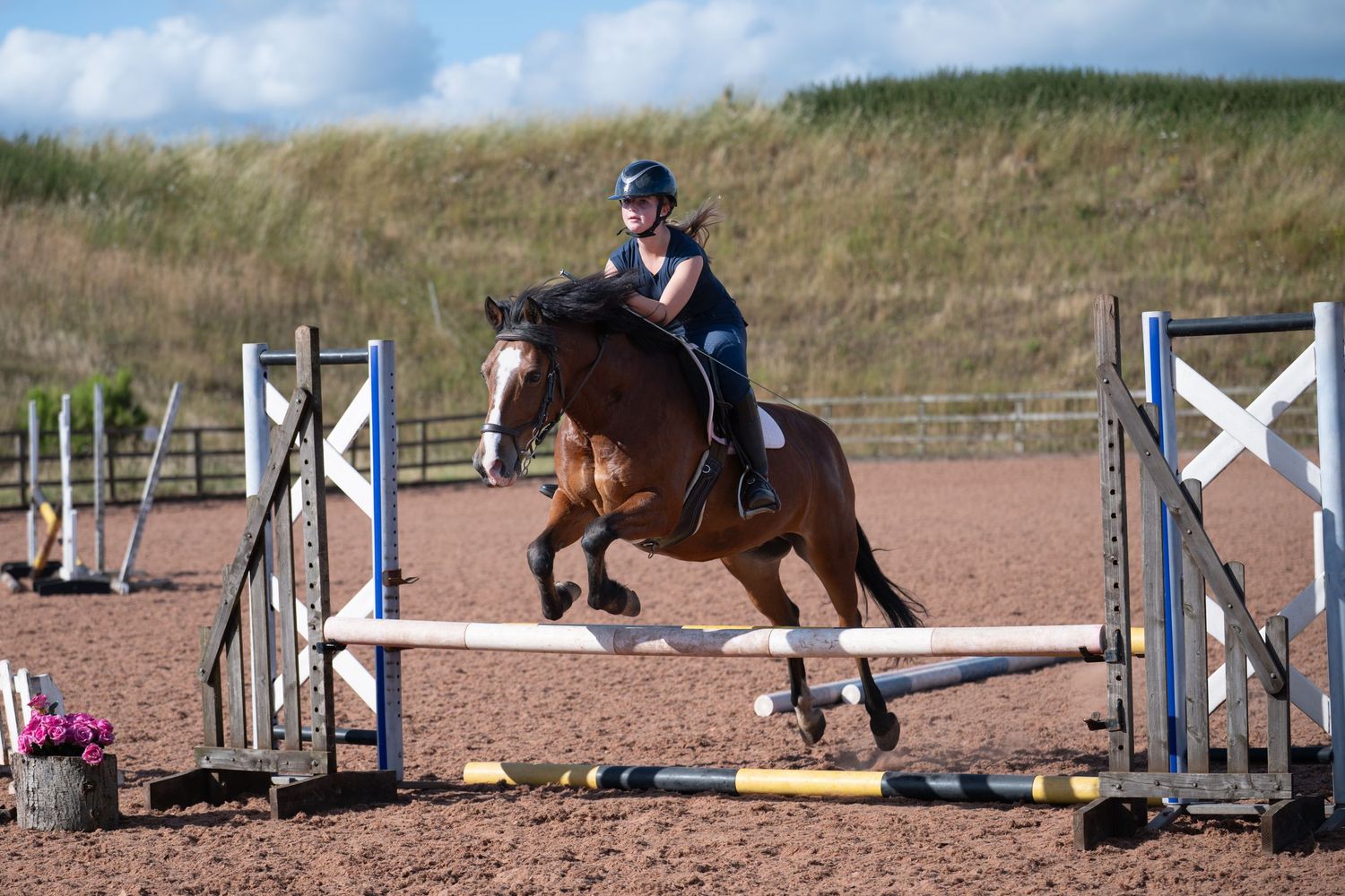 Equestrian rider on bay horse jumping over colorful show jump poles in outdoor sand arena.