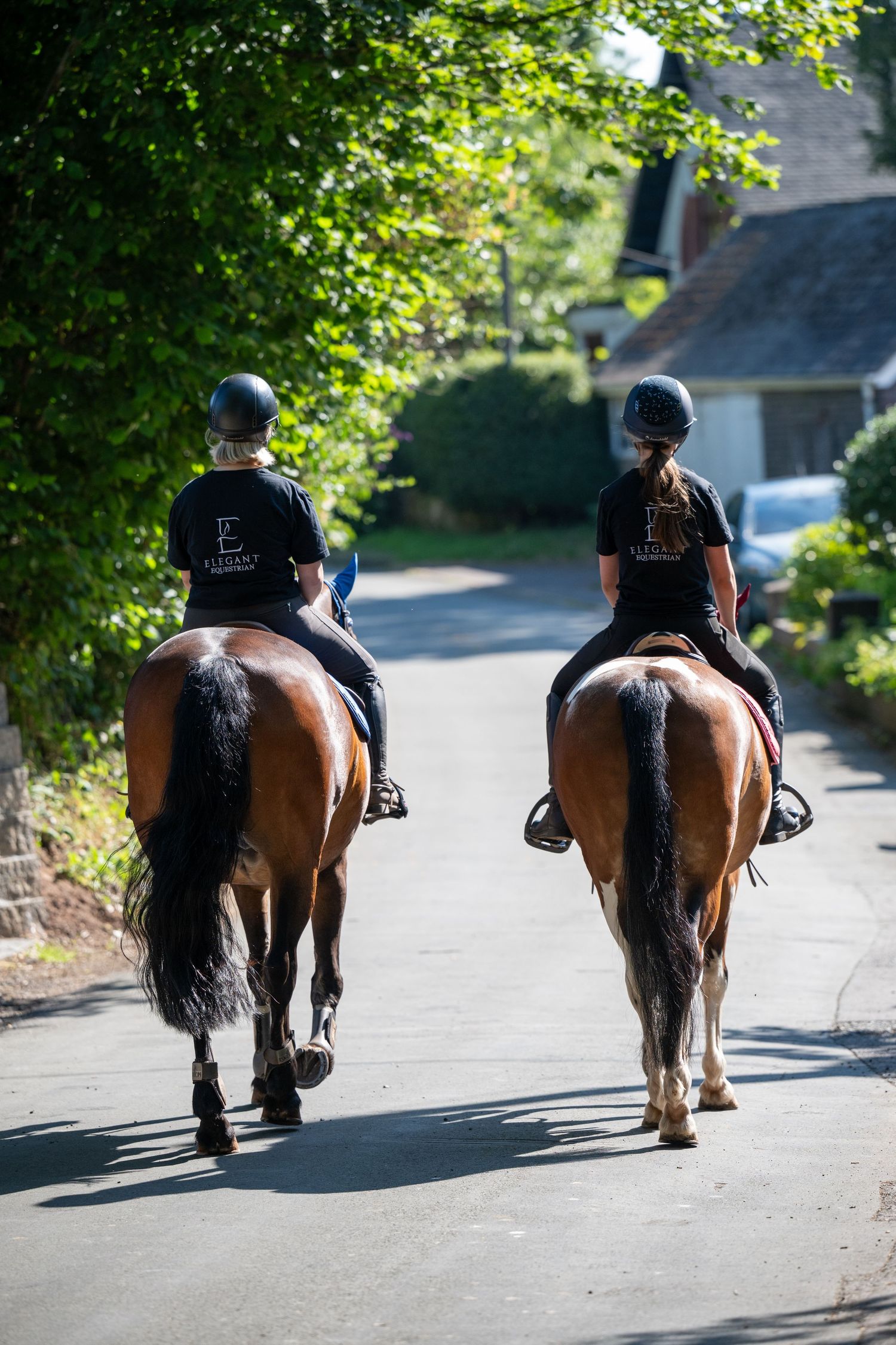 Two riders in black shirts and helmets on brown horses walking down a sunny tree-lined road.