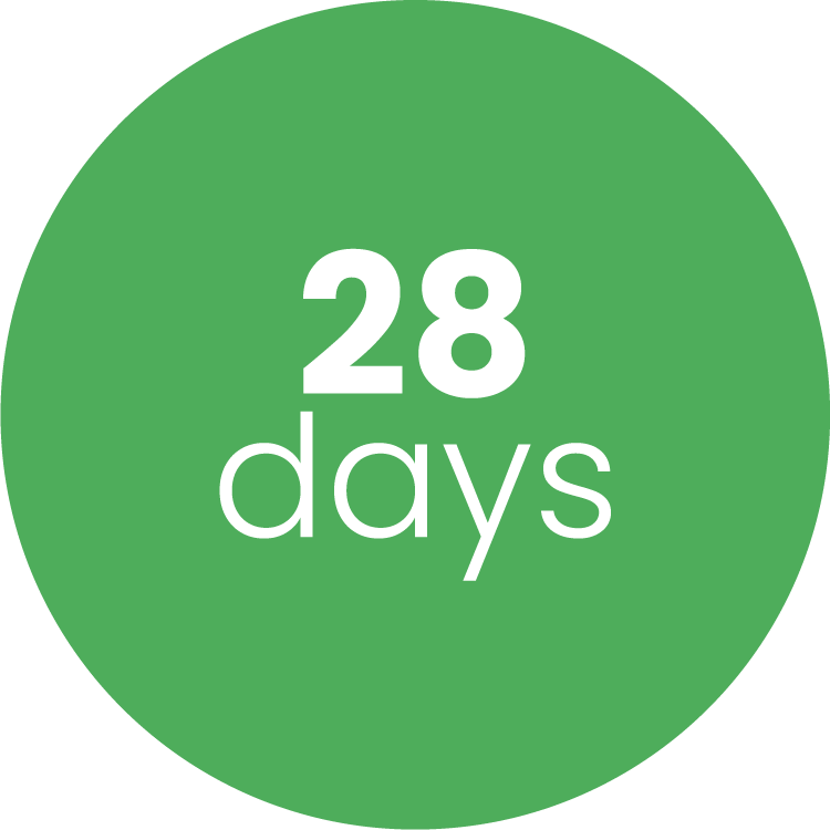 Minimalist green oval shapes with white text numbers and words arranged in a horizontal row.