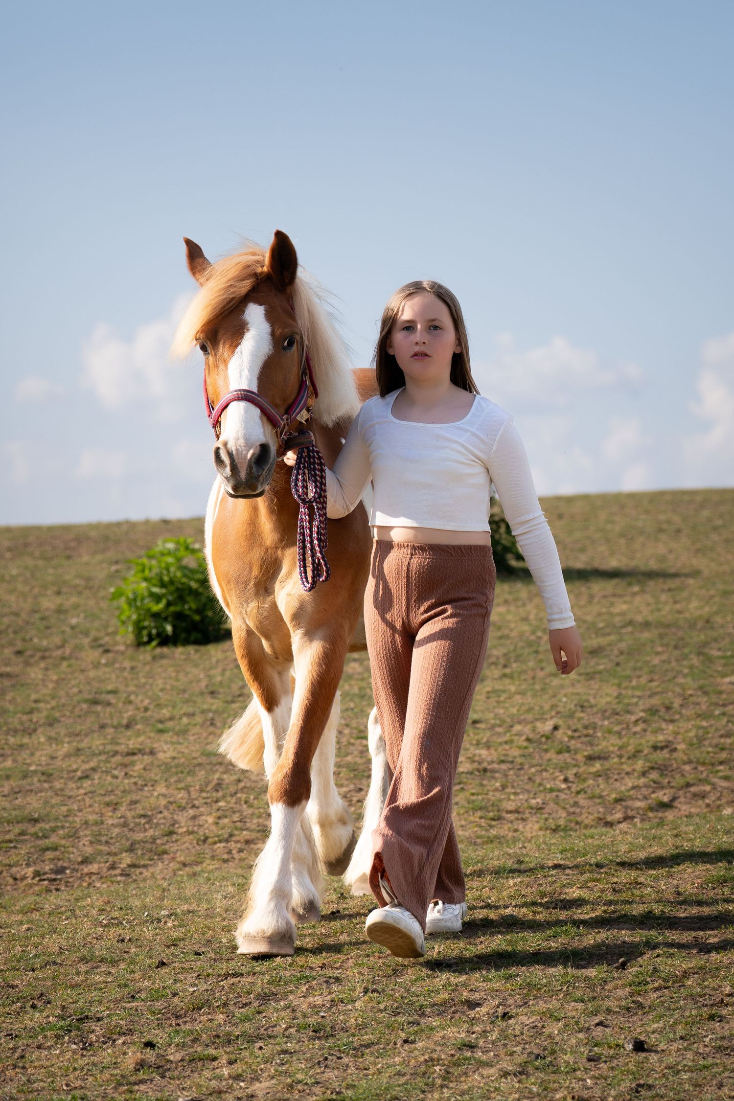 Beautiful palomino horse with white feathered legs and reddish-brown mane walks alongside a person on grassy hillside.