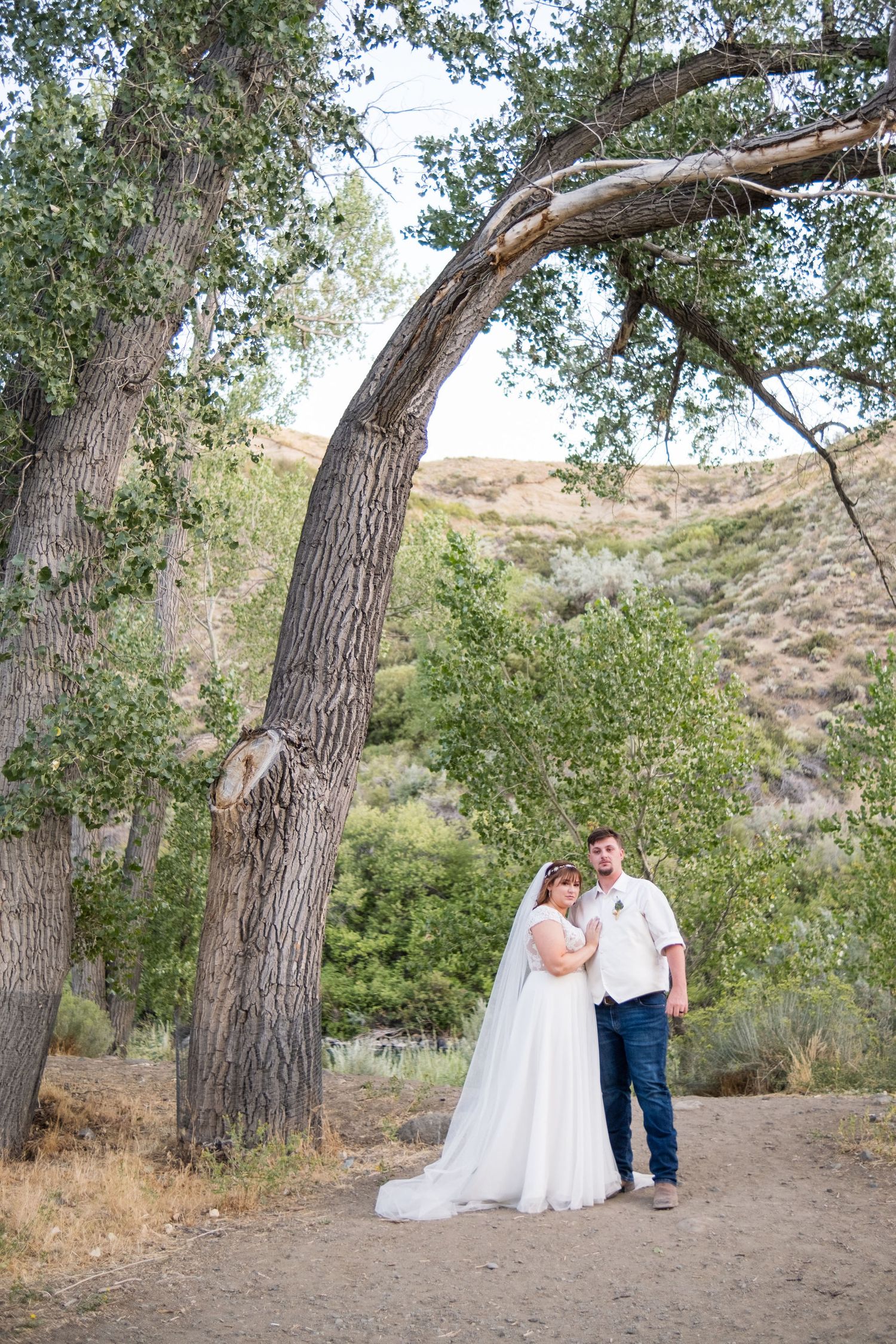Bride and groom pose under a curved tree in an outdoor wedding photo with green hills in the background.