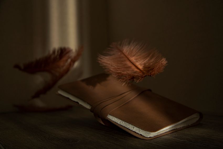 Silhouetted feathers resting on a book in moody lighting.