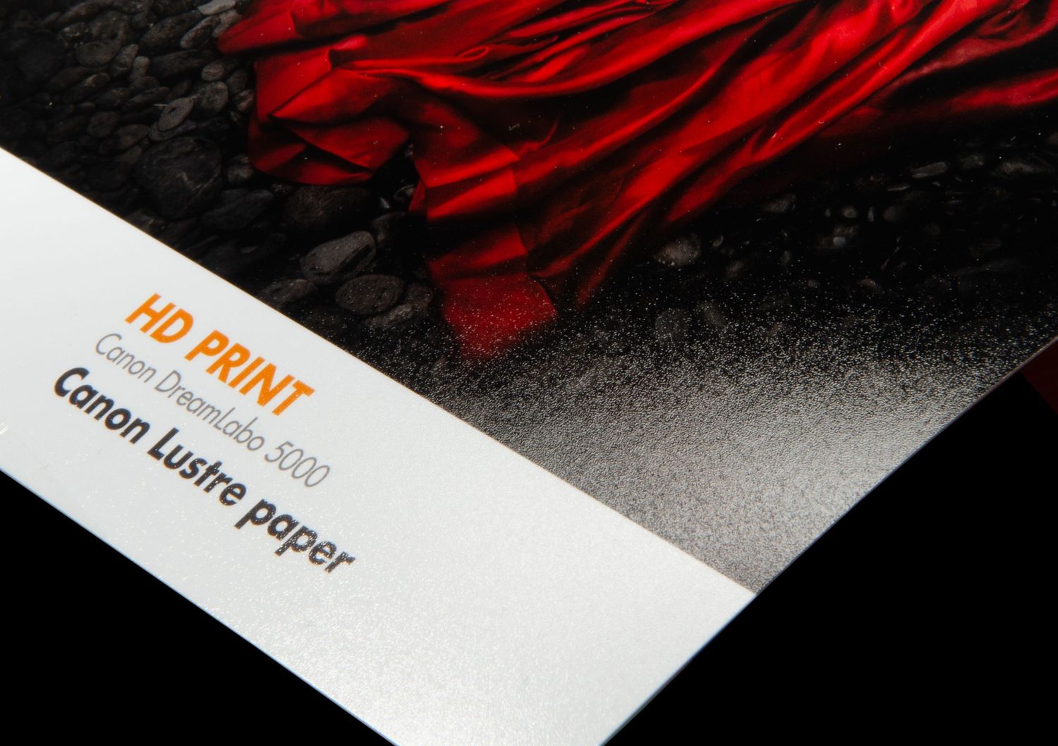 A close-up of glossy red rose petals next to a corner of Canon photo paper displaying HD PRINT text.