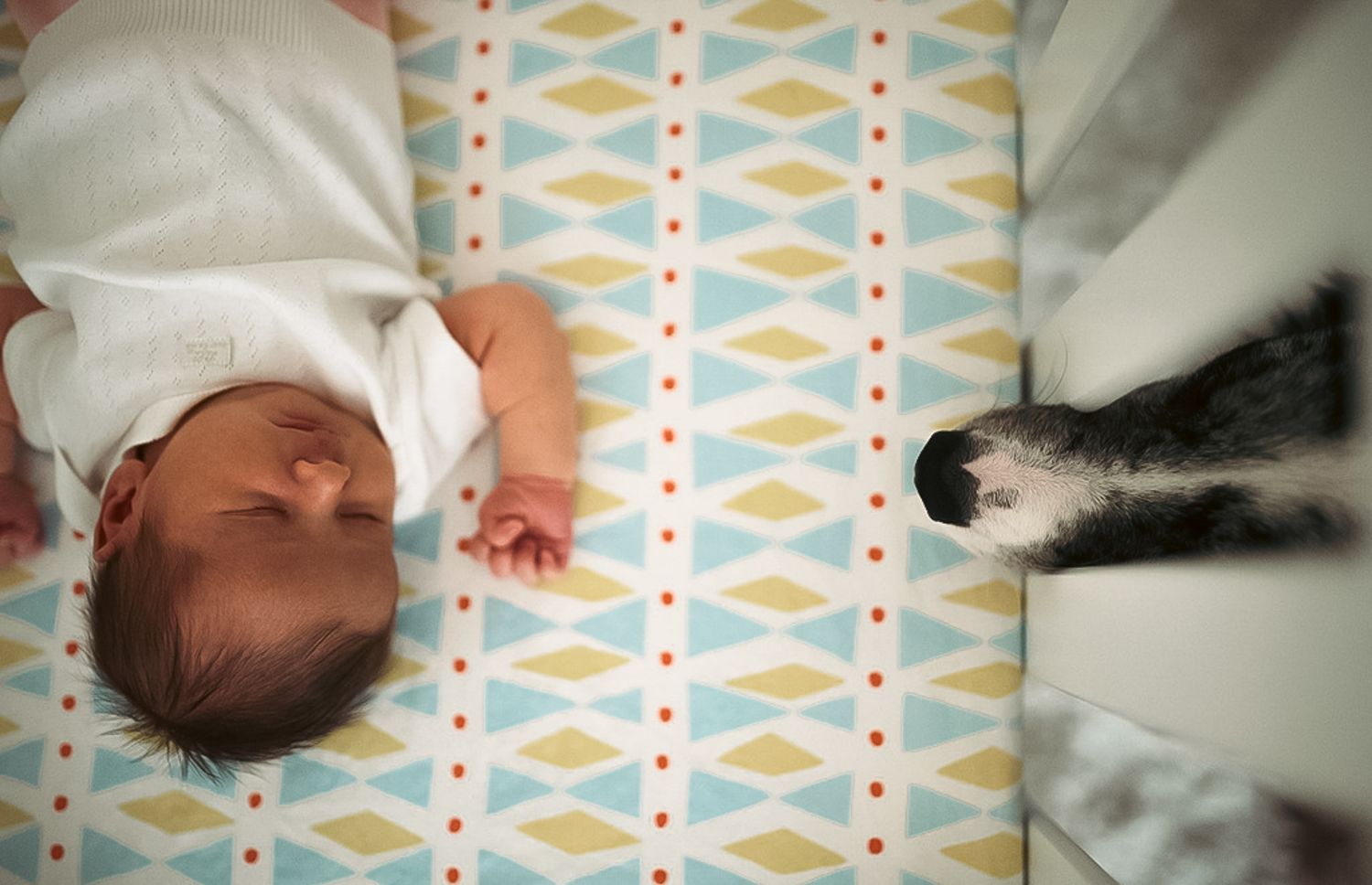 Lifestyle newborn session at home in Acworth, GA with baby in crib and dog poking nose through the crib.