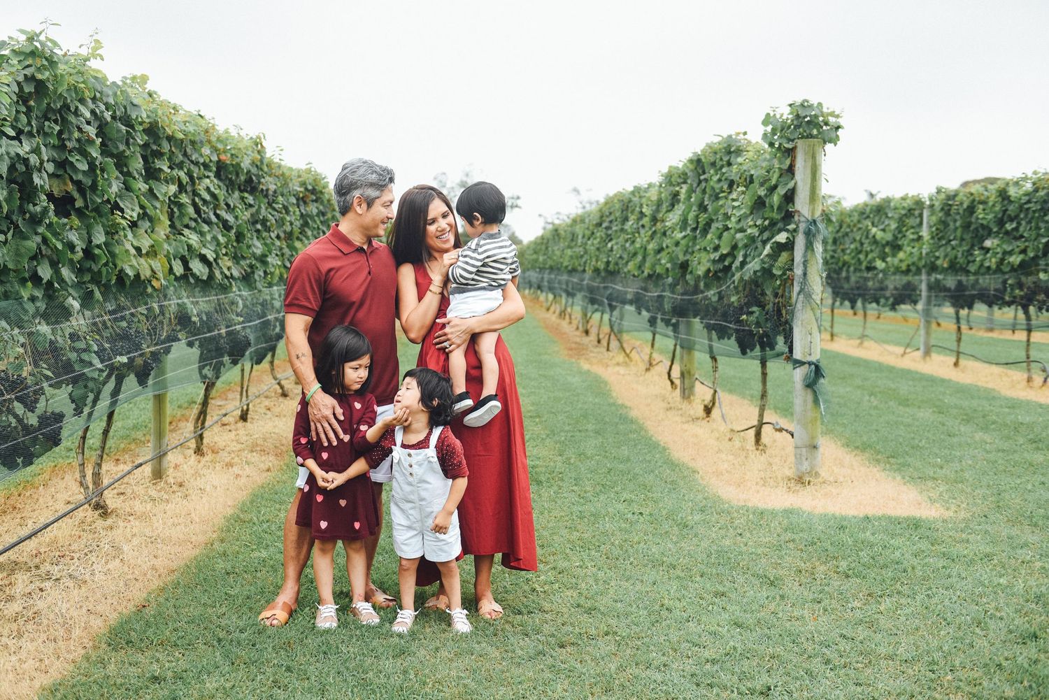 Panoramic view of families walking and posing along a vineyard path with green vines.