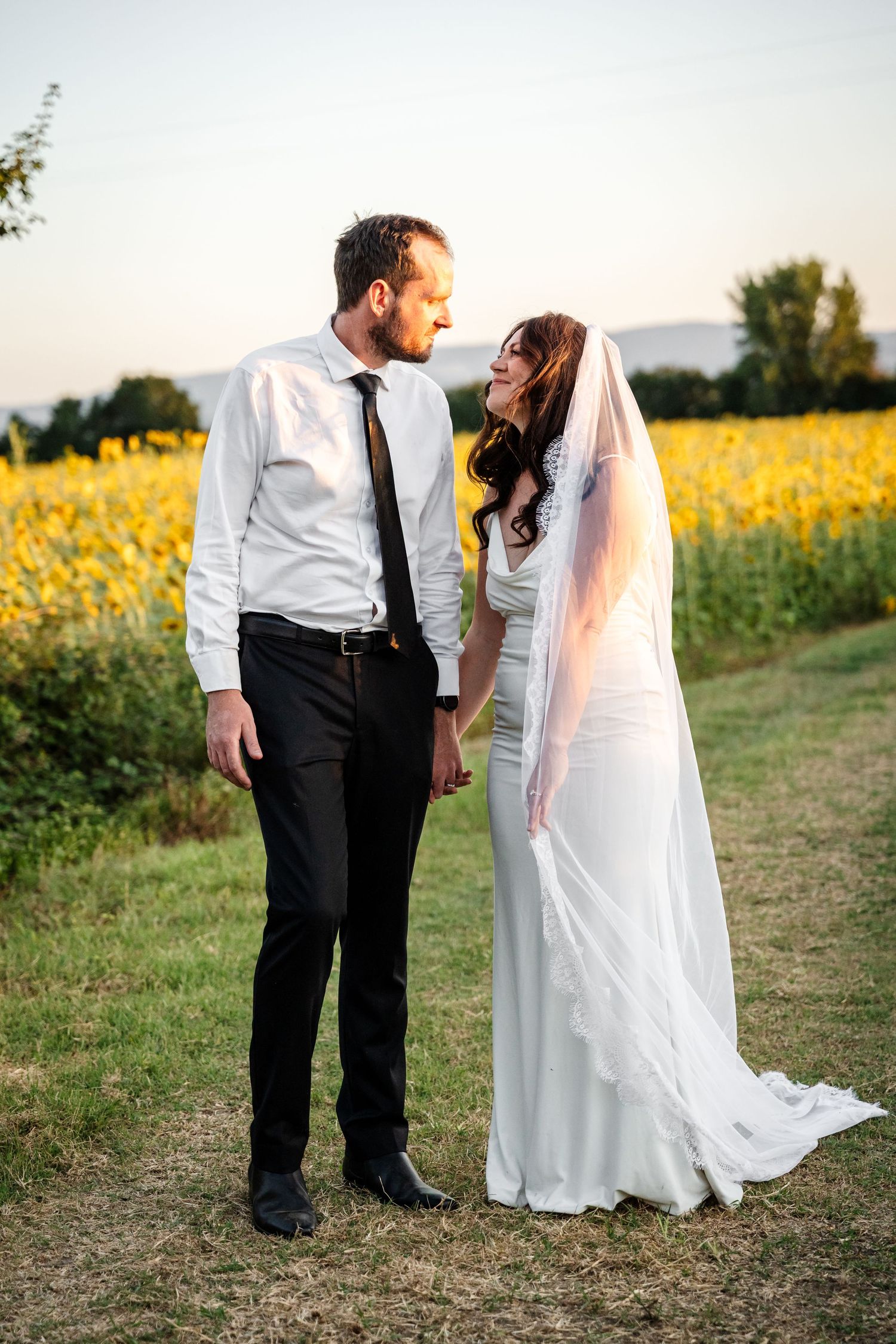 Bride and groom holding hands in front of a sunflower field at sunset, sharing a romantic glance.