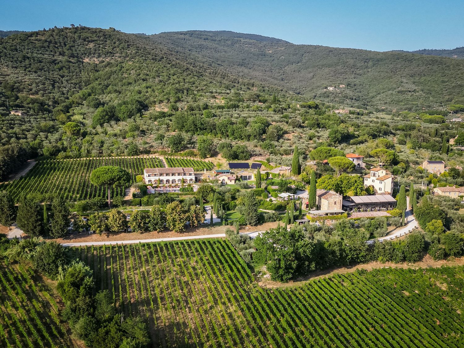 Aerial view of a Tuscan vineyard estate nestled among rolling green hills with olive groves and farmhouses.