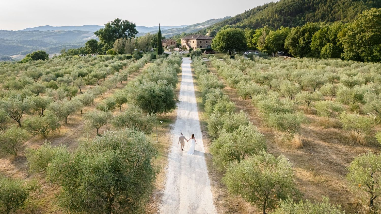 Aerial view of two people walking along a scenic tree-lined gravel road through olive groves toward a Tuscan farmhouse.