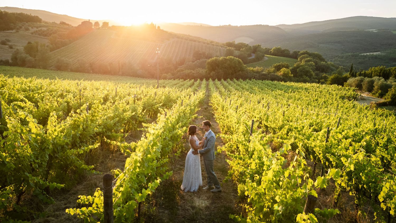 Couple embracing in sun-drenched vineyard rows at golden hour with rolling hills in the background.