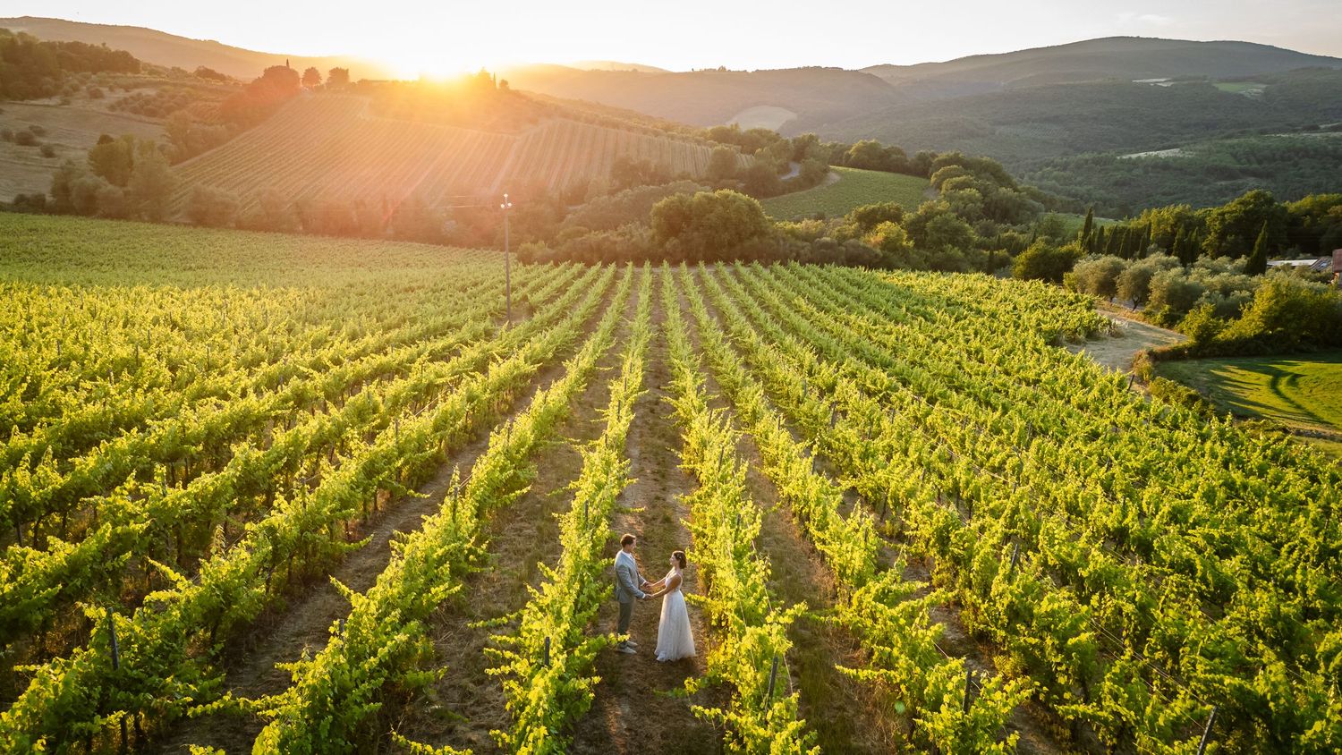 Aerial view of lush vineyard rows at golden sunset with a person walking among the vines in Tuscany.