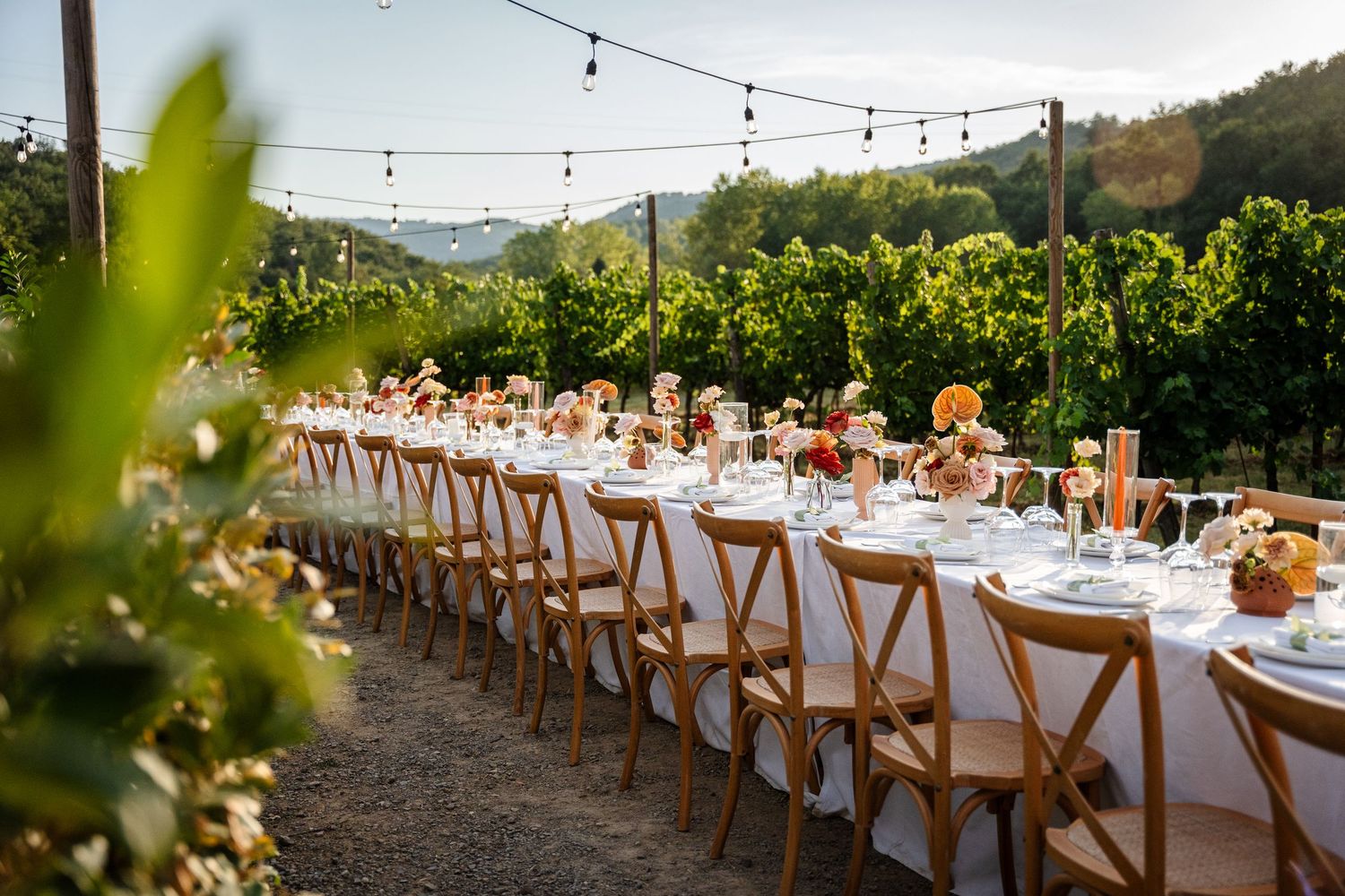 Elegant outdoor vineyard wedding reception with long white tables, floral centerpieces, string lights, and wooden cross-back chairs.