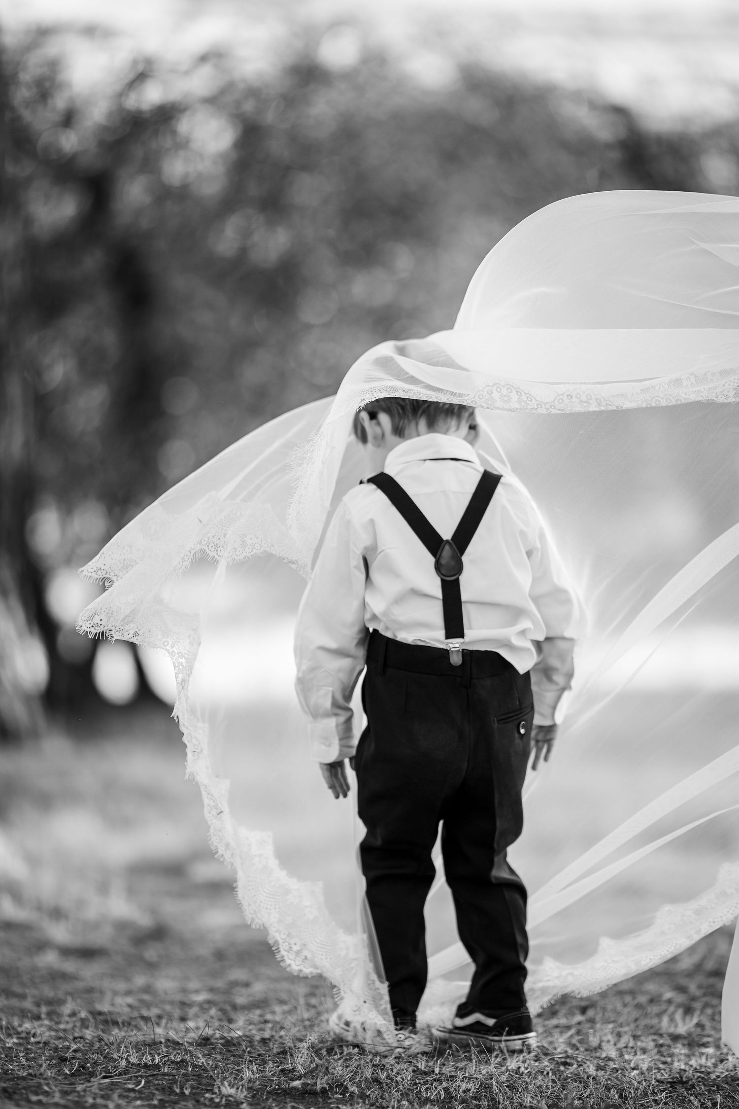 Black and white wedding photo showing bride's flowing veil trailing behind couple's feet in grass.