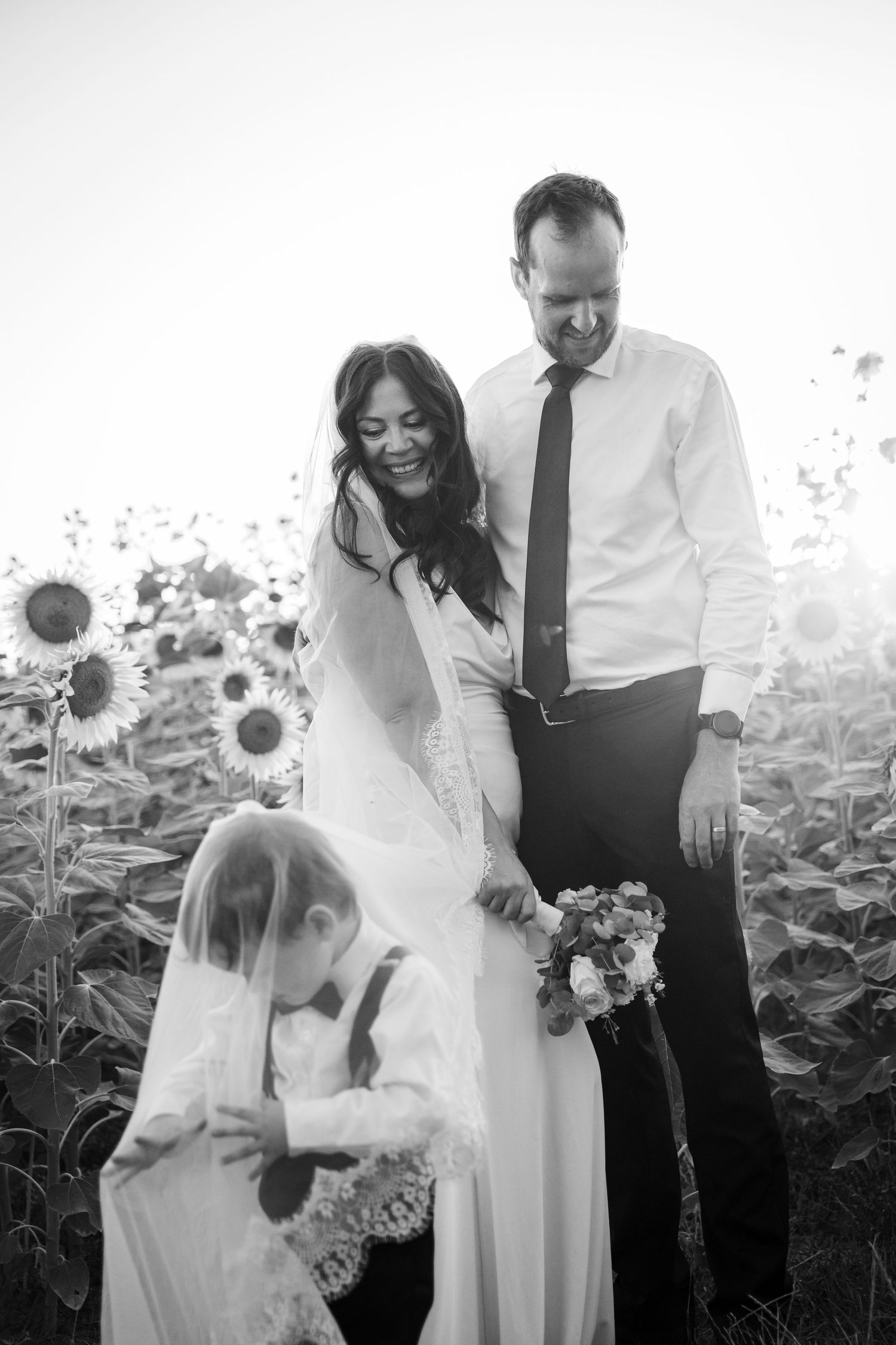 Black and white wedding portrait in a sunflower field with flowing veil.