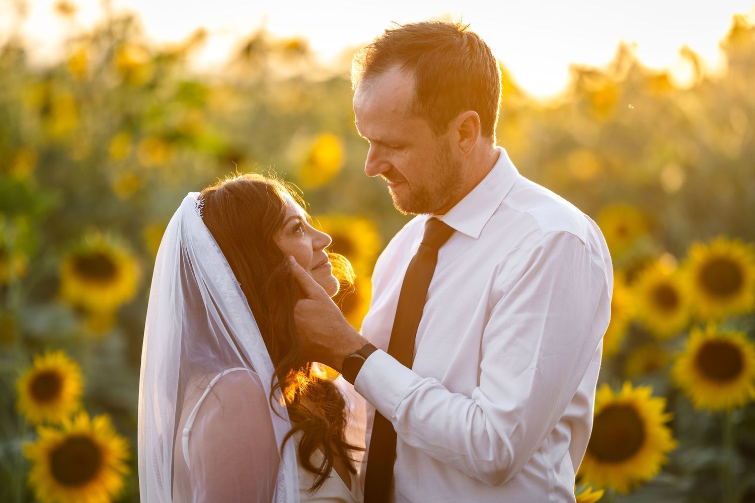 Bride and groom share a romantic moment in a sunflower field at golden hour sunset.