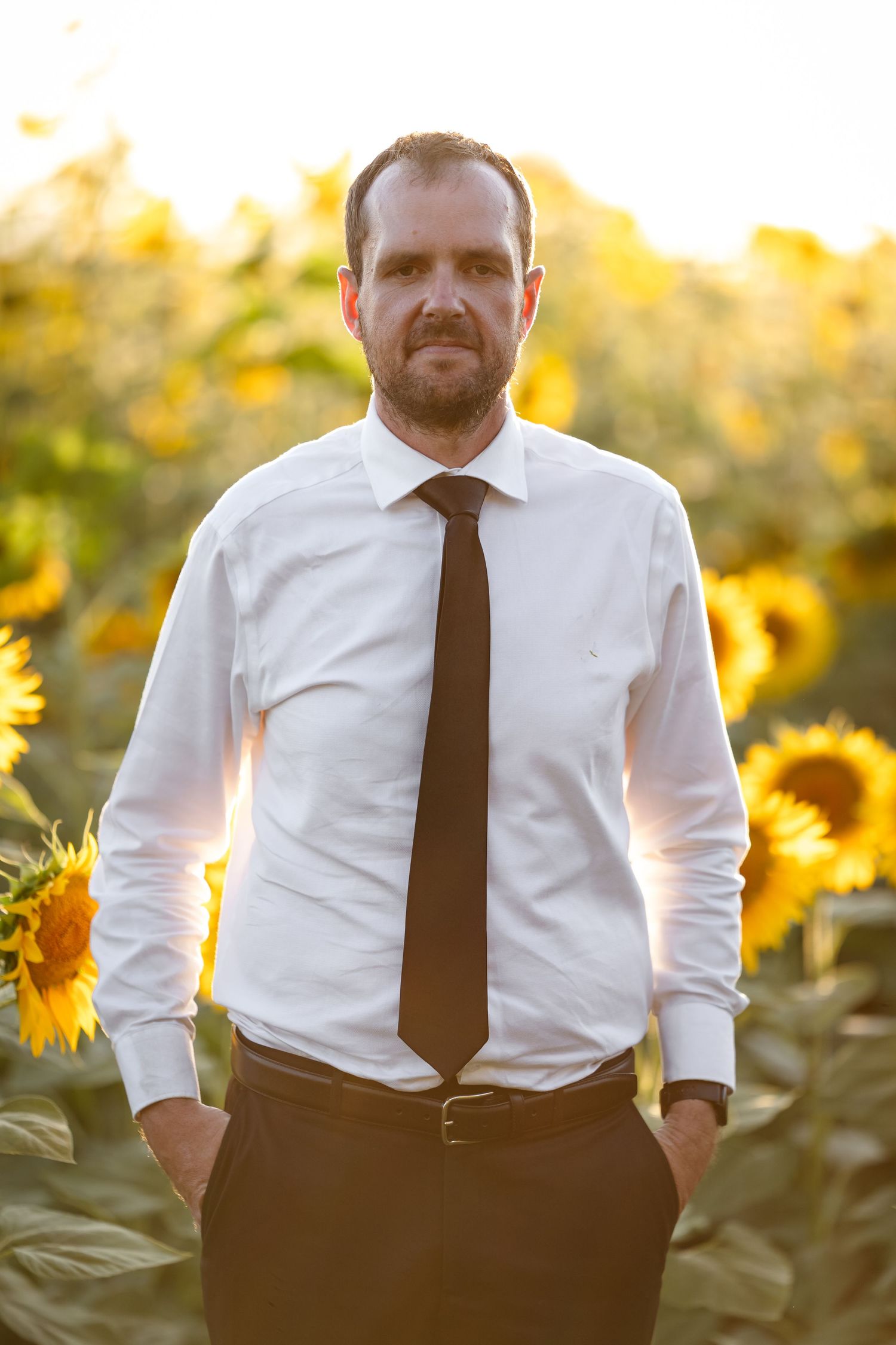 Man in white shirt and dark tie standing confidently in a sunflower field at golden hour.