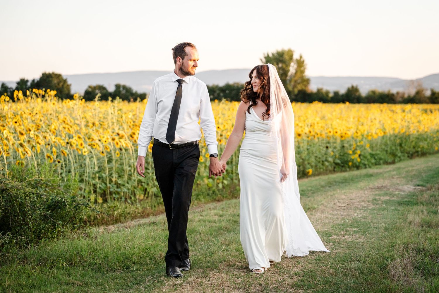 Bride and groom walk hand-in-hand along a path beside a golden sunflower field at dusk.