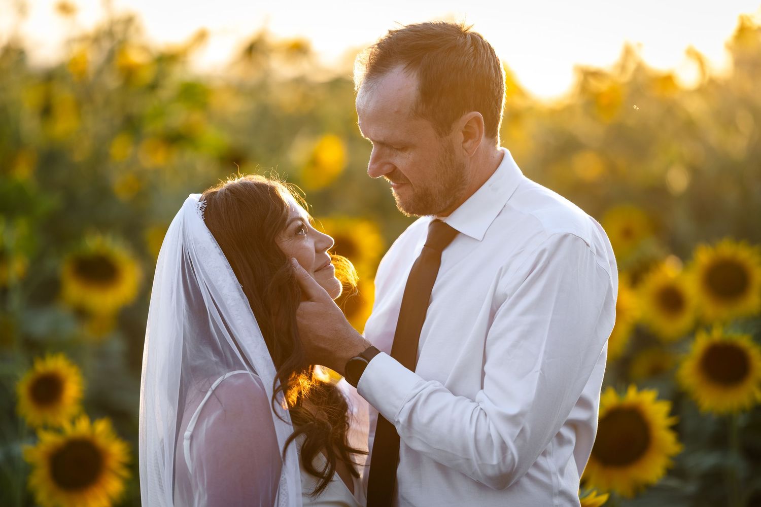 Couple embraces in a sunlit sunflower field during golden hour creating a romantic silhouette against the setting sun.